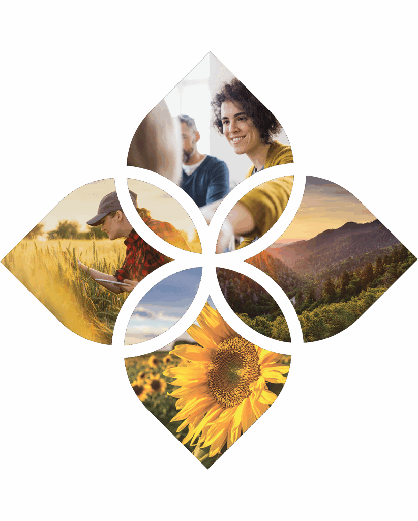 Cover-Flower-1070x1333-1