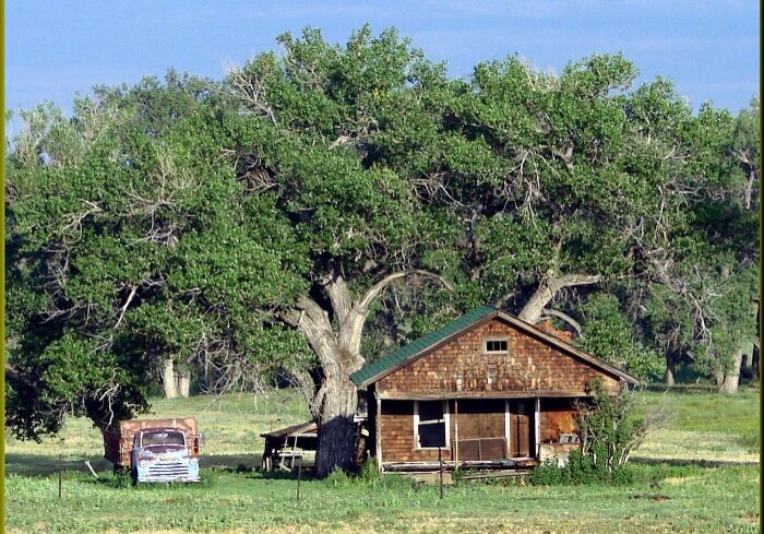 Ranch,_Calhan,_CO_7-29-13a_(11386958946)