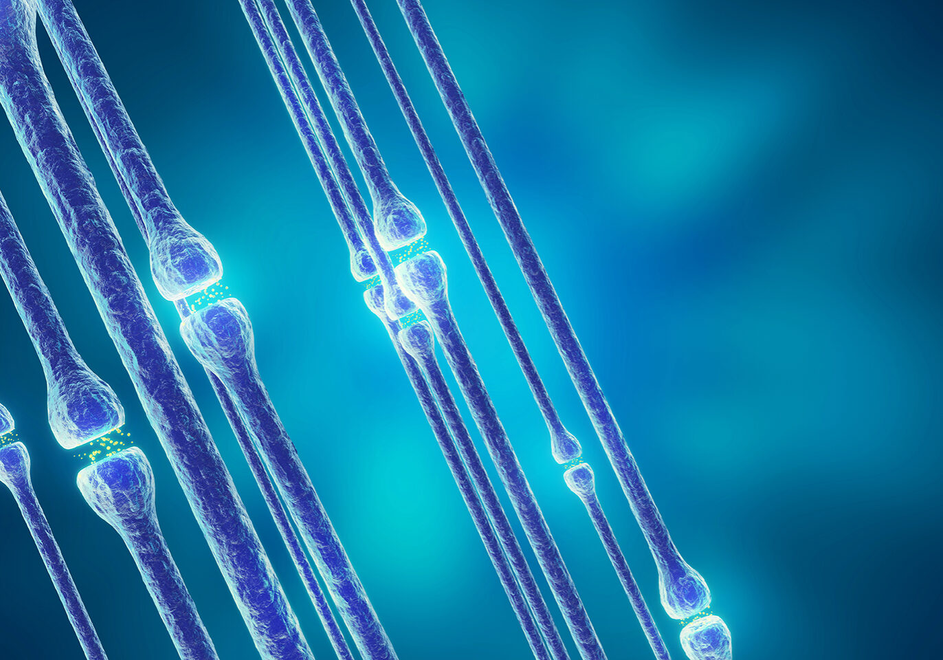 Synaptic transmission, human nervous system, 3d rendering